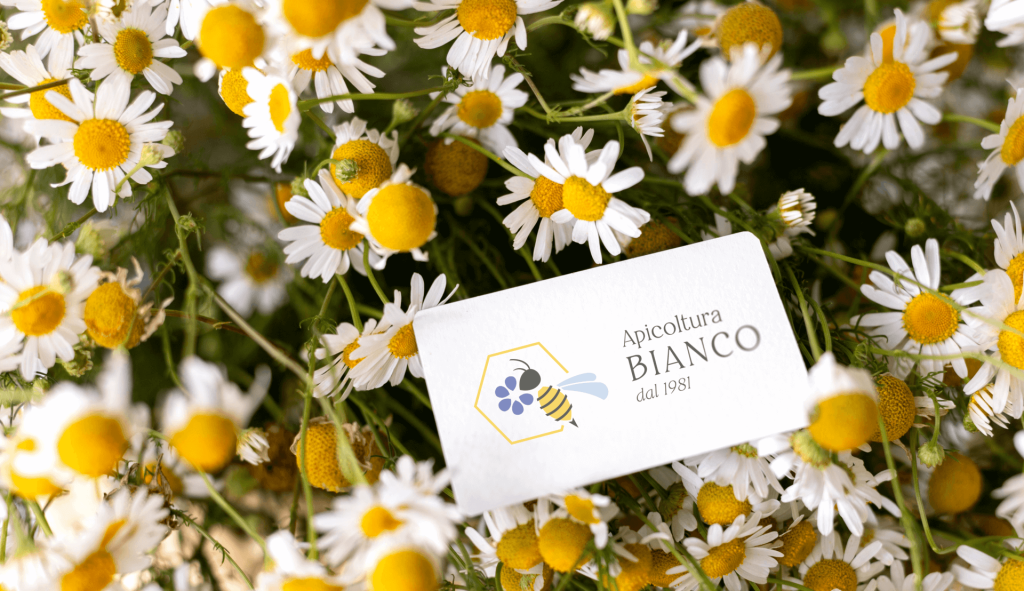 Boglietto da visita con nuova brand identity apicoltura Bianco